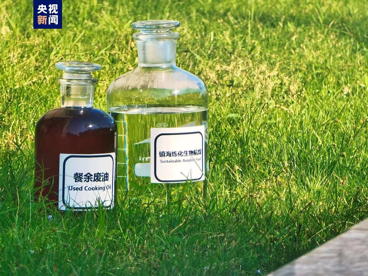 餐饮废油变身航空燃料中国实现生物航煤绿色国际货运首飞