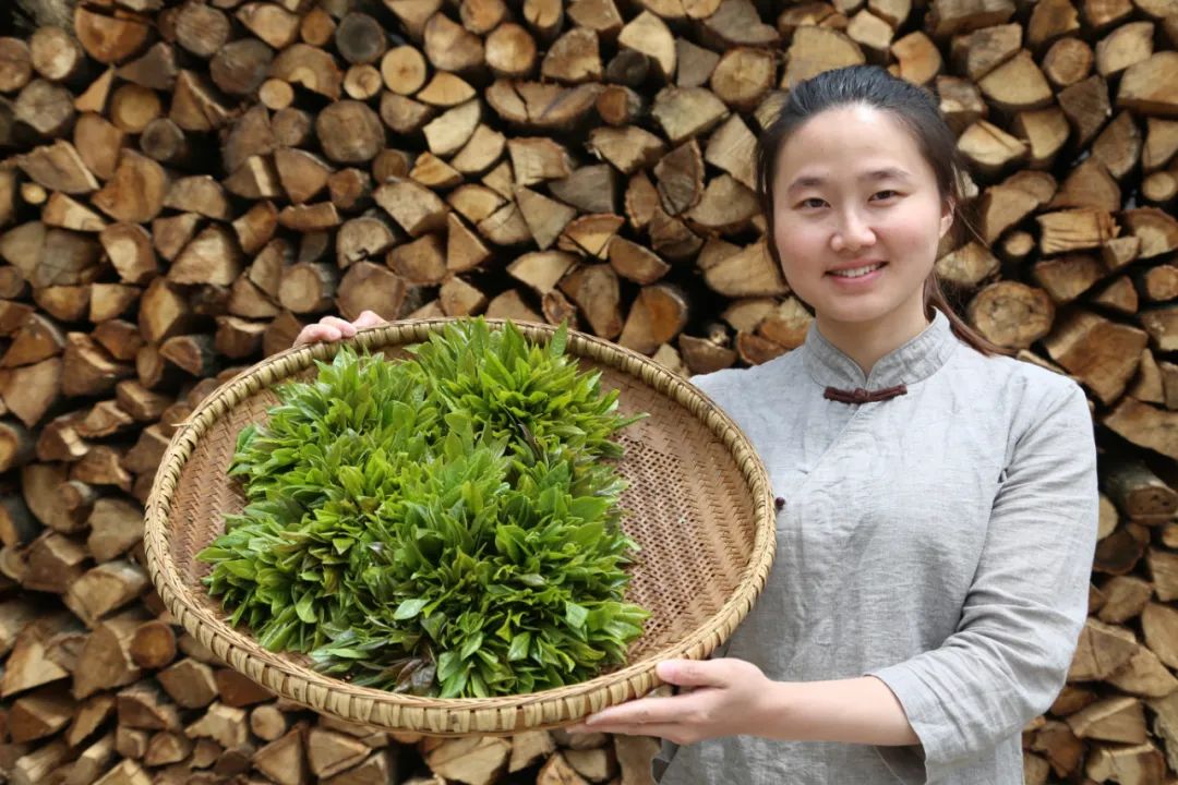 湖北非遺欒師傅製茶技藝