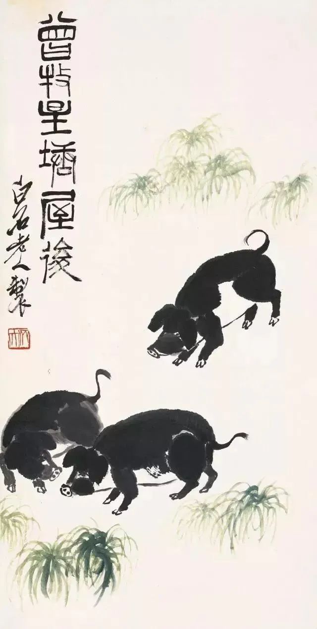 画说十二生肖——猪