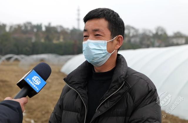 毛勇返乡创业逐梦打造百亩果蔬基地