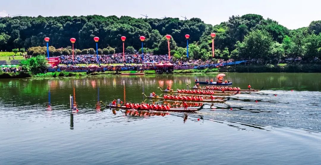 好消息黃石陽新蓮花湖溼地公園通過驗收