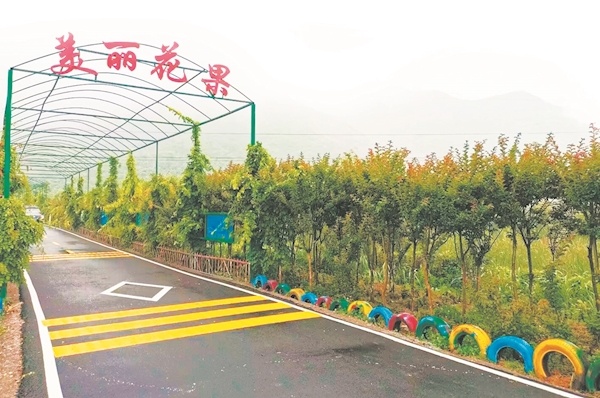 阳新融入武汉都市圈 建设宜居宜业和美乡村