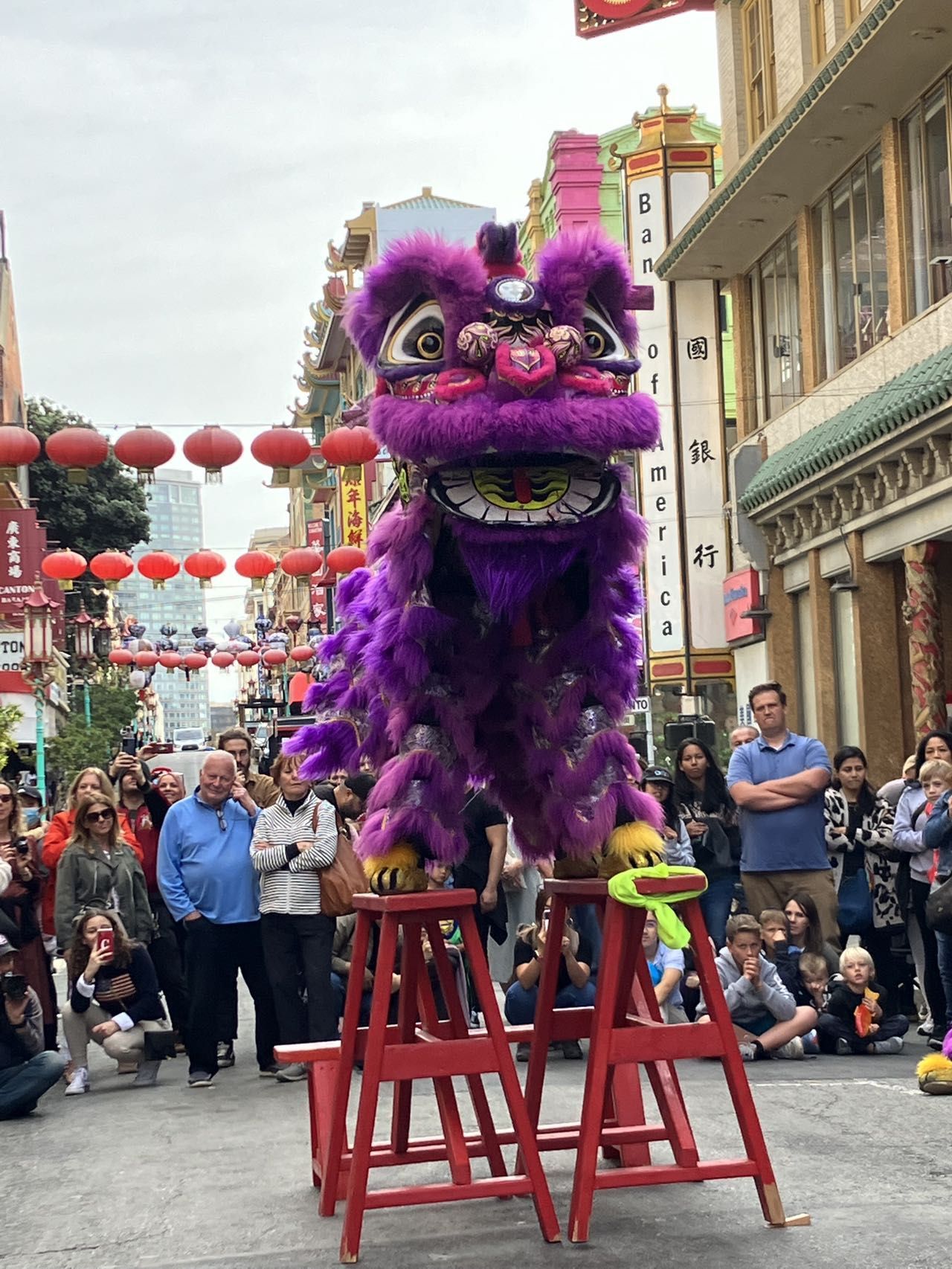 美国春节晚会图片