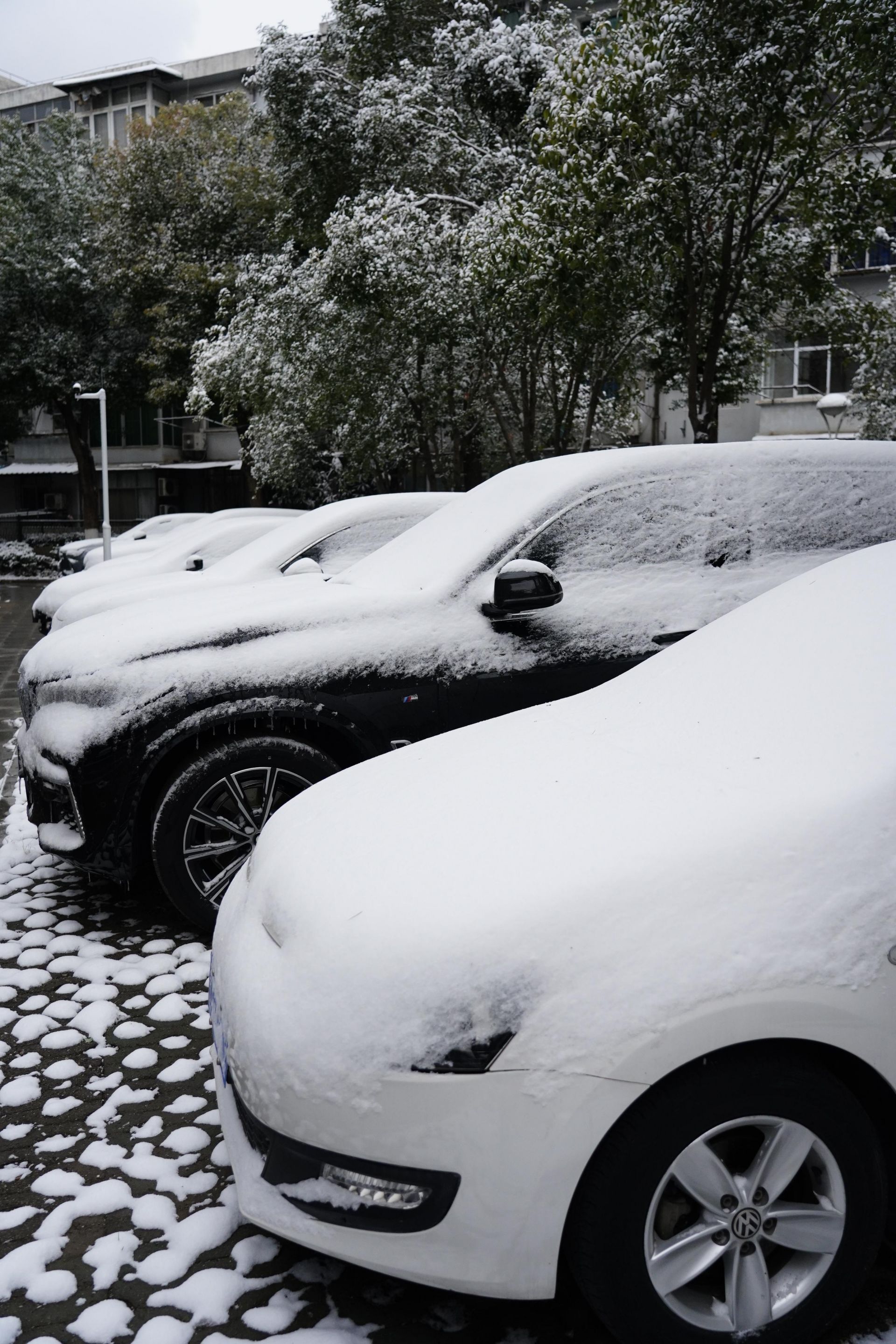 武汉下雪了一大波雪景图来袭