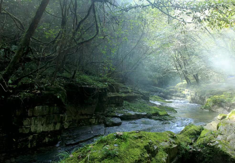 五峰后河风景区简介图片