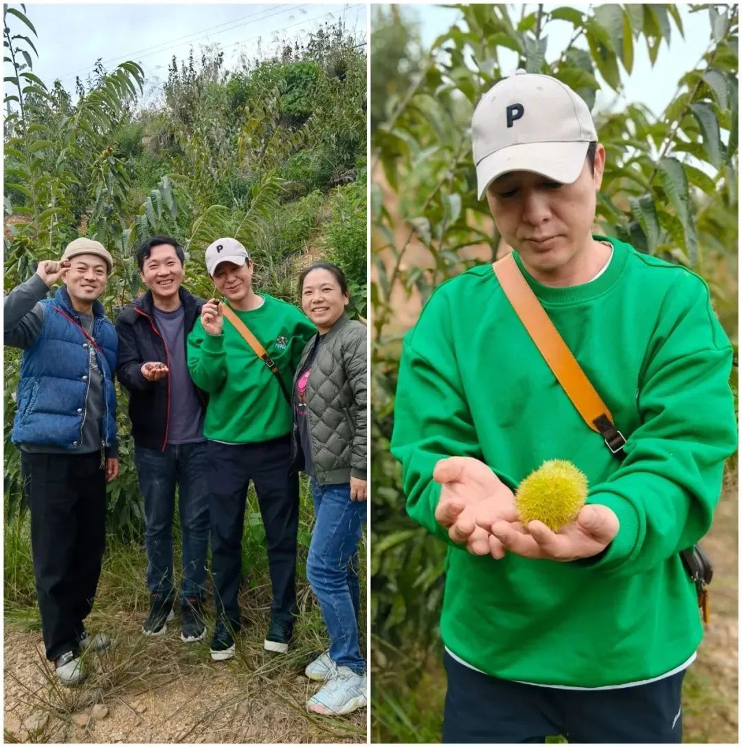 长江云 - 湖北网络广播电视台官方网站