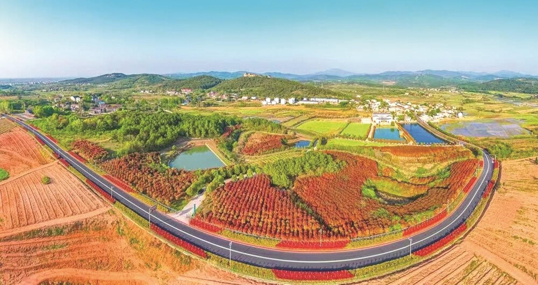 共创森林城市 共享幸福生活——孝昌县建设"湖北省森林城市"_长江云