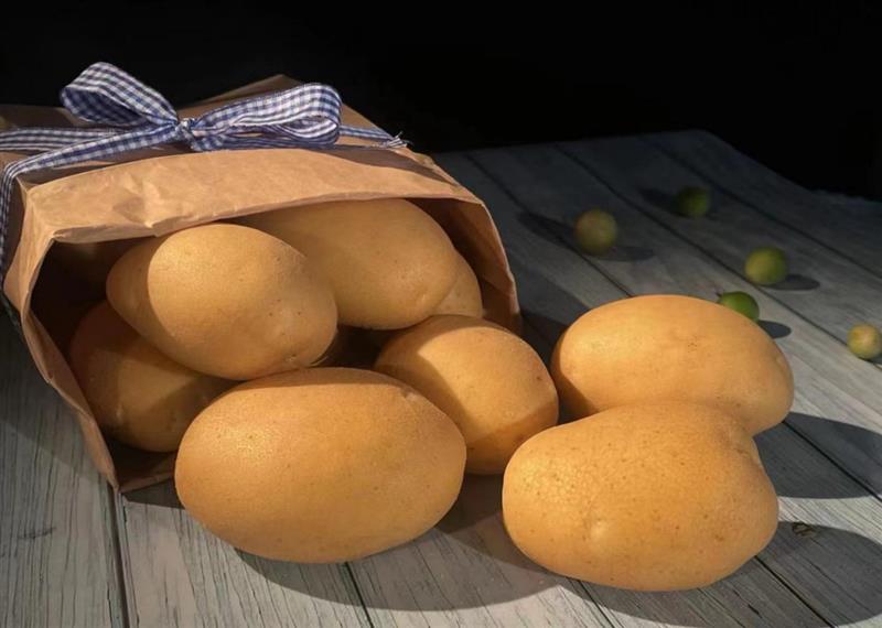 土豆新品种"华颂阳光"300万元授权焕然农业_长江云 - 湖北网络广播