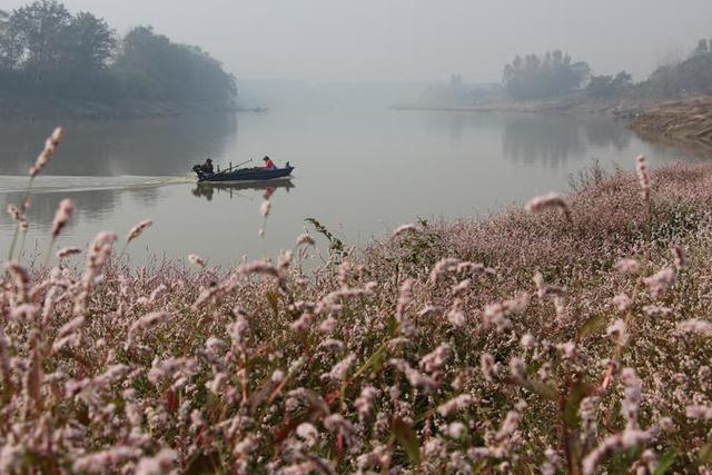 云梦涢水国家湿地公园图片