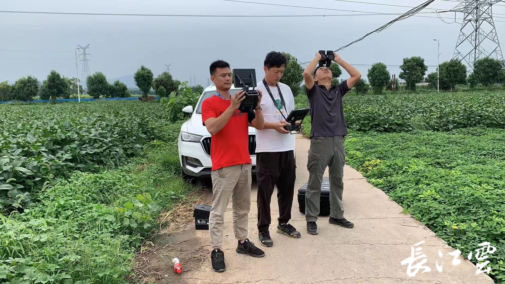 影视行业风云：广告片拍摄趋势与变革