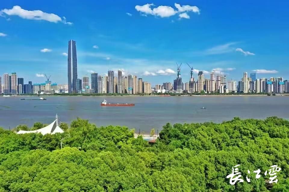 打造100个一刻钟便民生活圈培育建设国际消费中心城市武汉这么干