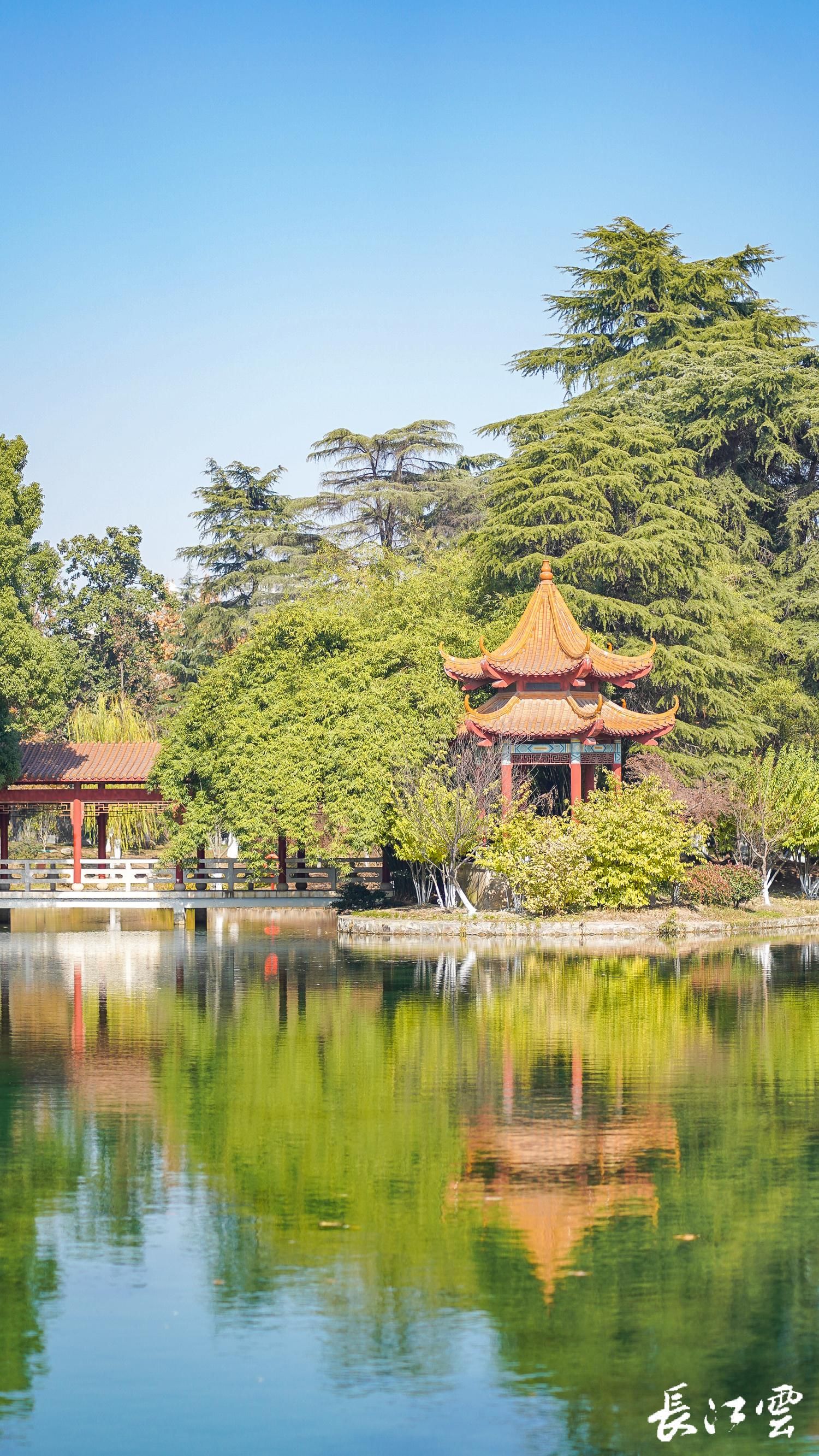 12座公园入选武汉首批精致公园你打卡过吗