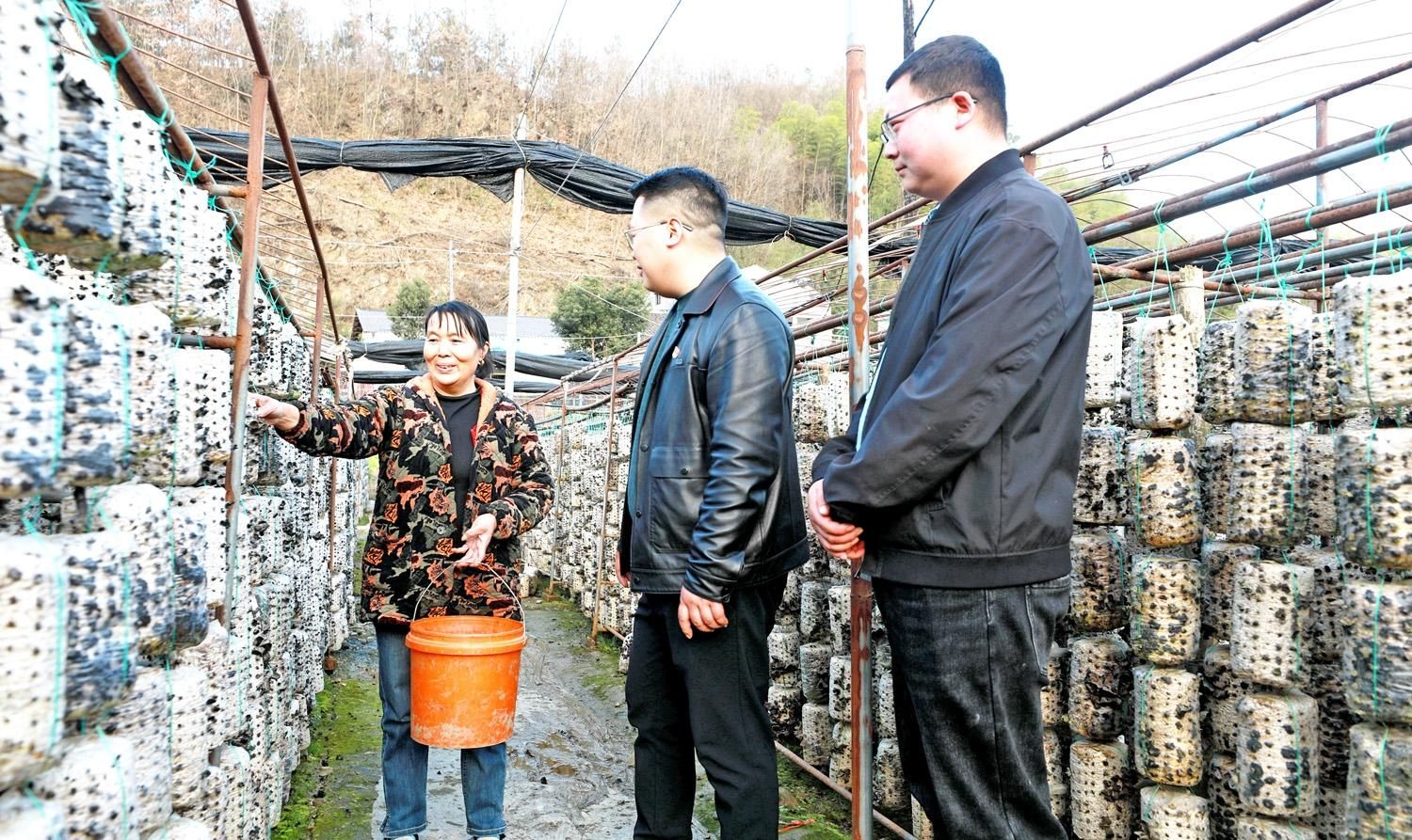 图为3月5日,该县文峰乡纪检监察干部在轻土坪村向食用菌种植户了解