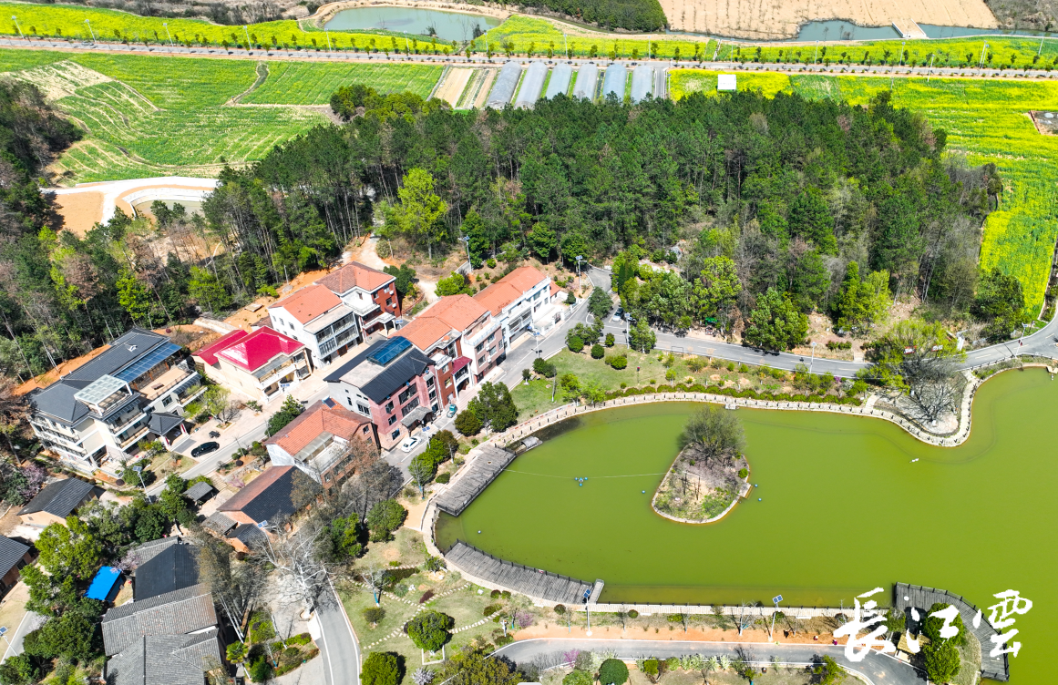 不负春光听花语 武汉摄影采风团聚焦江夏古镇