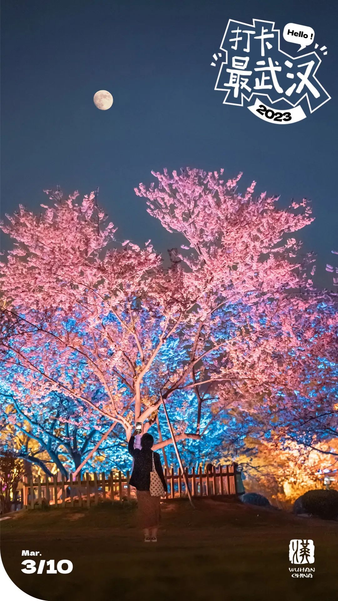 宁波樱花公园夜景图片