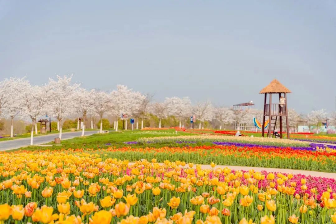 「彭墩乡村世界」优惠时间:2023年3月优惠政策:一日游108元/人(含中