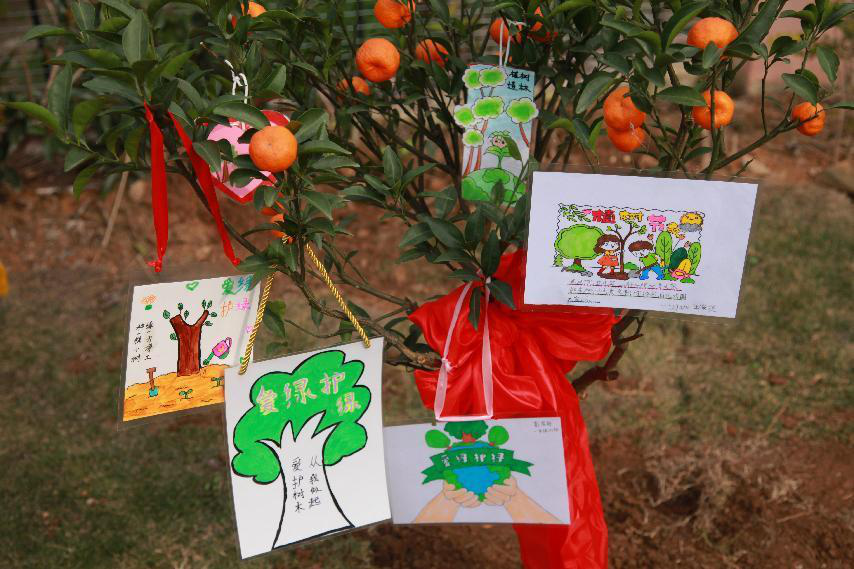 湖北教育新闻小手添新绿同心育未来