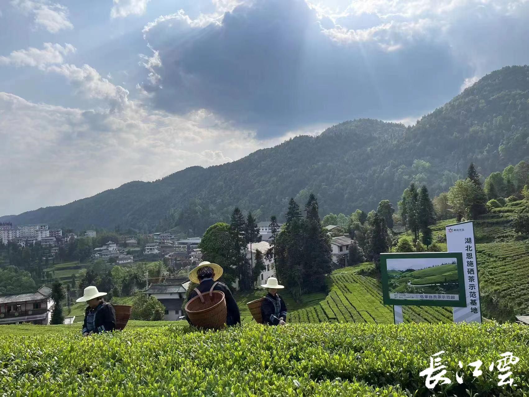 企业礼品定制：彰显企业文化的新时尚