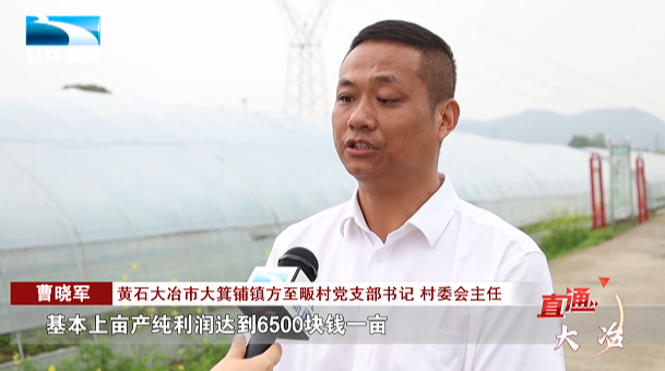 大箕铺镇方至畈村聚集着多家蔬菜种植企业,但村集体经济仍是"一穷二白