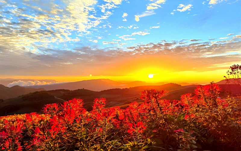 宜昌长阳云中凉都丰富旅游新体验
