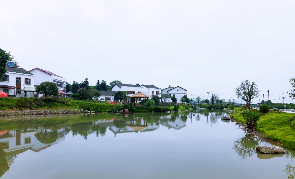 太美了!猇亭竟藏着一处"江南水乡"_长江云 - 湖北网络广播电视台官方