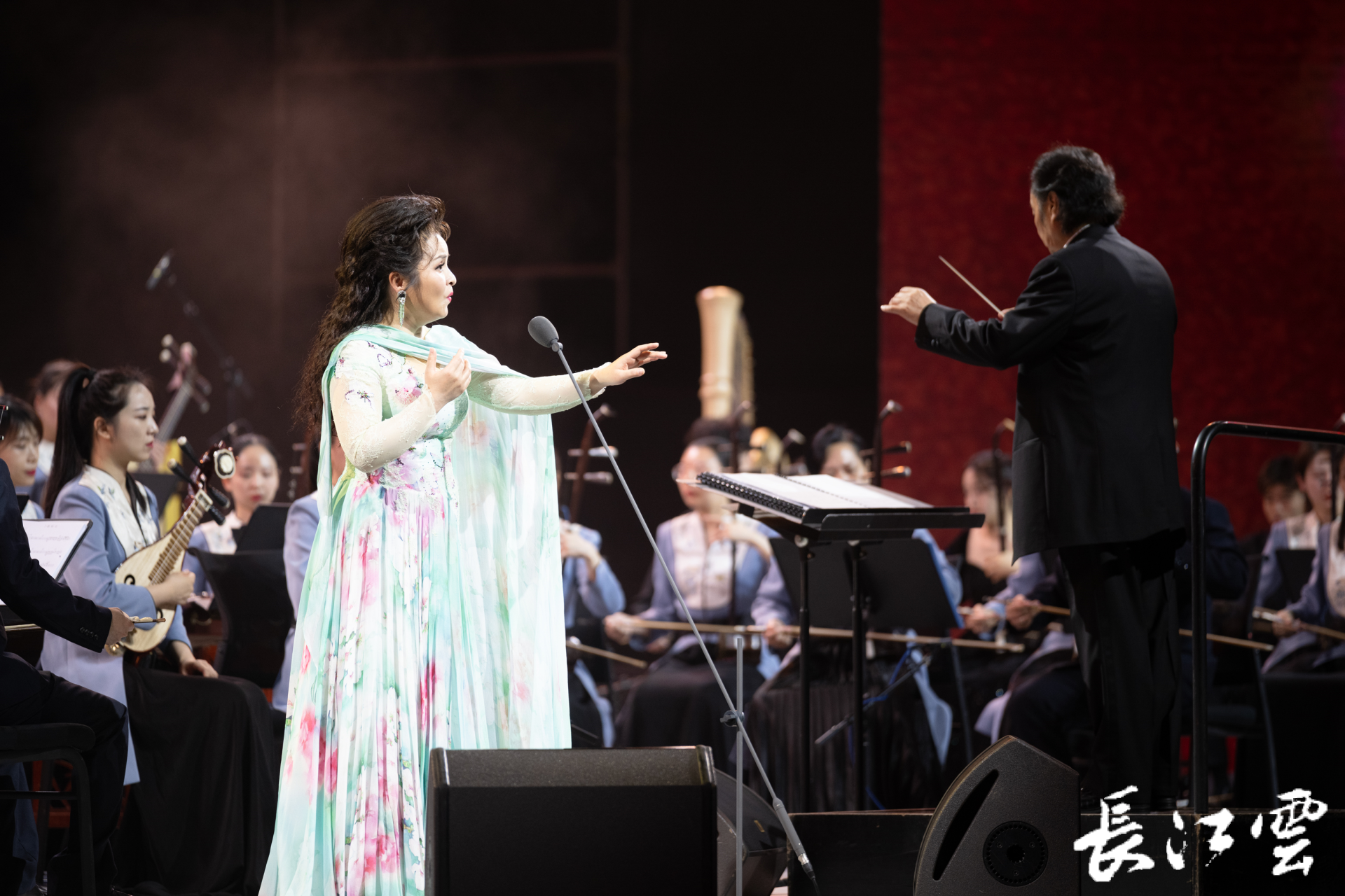 中国音乐学院教授,华中科技大学艺术学院特聘教授,美育名师吴碧霞