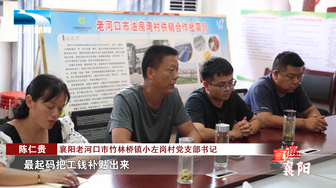直通襄阳老河口油房湾村的致富密码