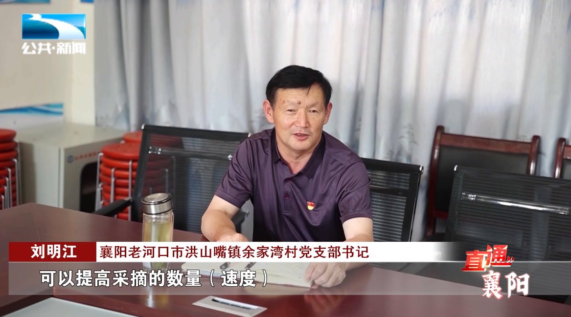 襄阳老河口市竹林桥镇小左岗村党支部书记 陈仁贵:"这都要找闽光农业