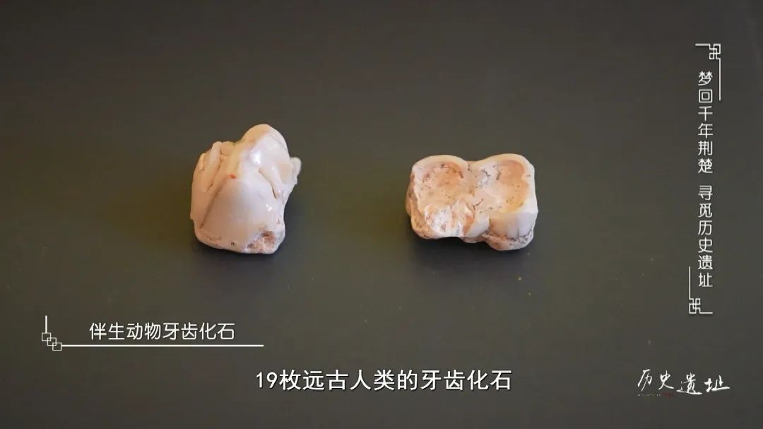 二十世纪七十年代,19枚远古人类的牙齿化石,在此悄然出土,巨猿洞响亮