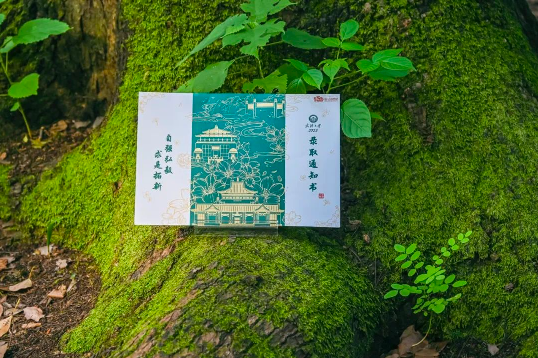 湖北省的高考录取分数线_湖北省高考录取分数线_湖北高考分数录取线2021