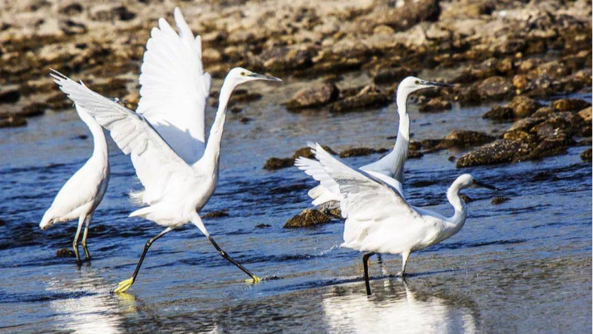 湖北竹山县圣水湖湿地入选国家重要湿地名录