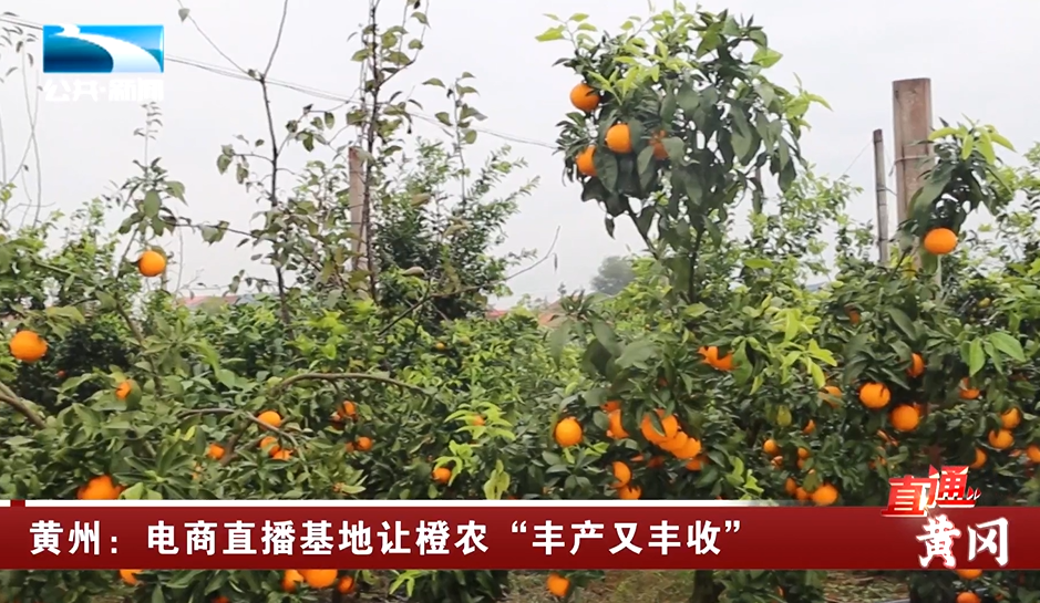 直通黃岡黃岡5條紅廉文化研學線路帶領黨員幹部學廉效廉