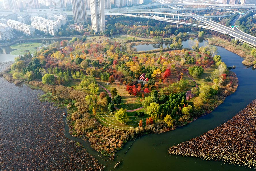 老友拍武汉武汉北太子湖公园美轮美奂的童话世界