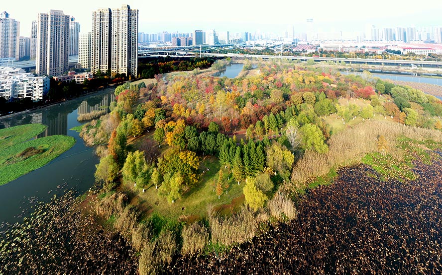 老友拍武汉武汉北太子湖公园美轮美奂的童话世界