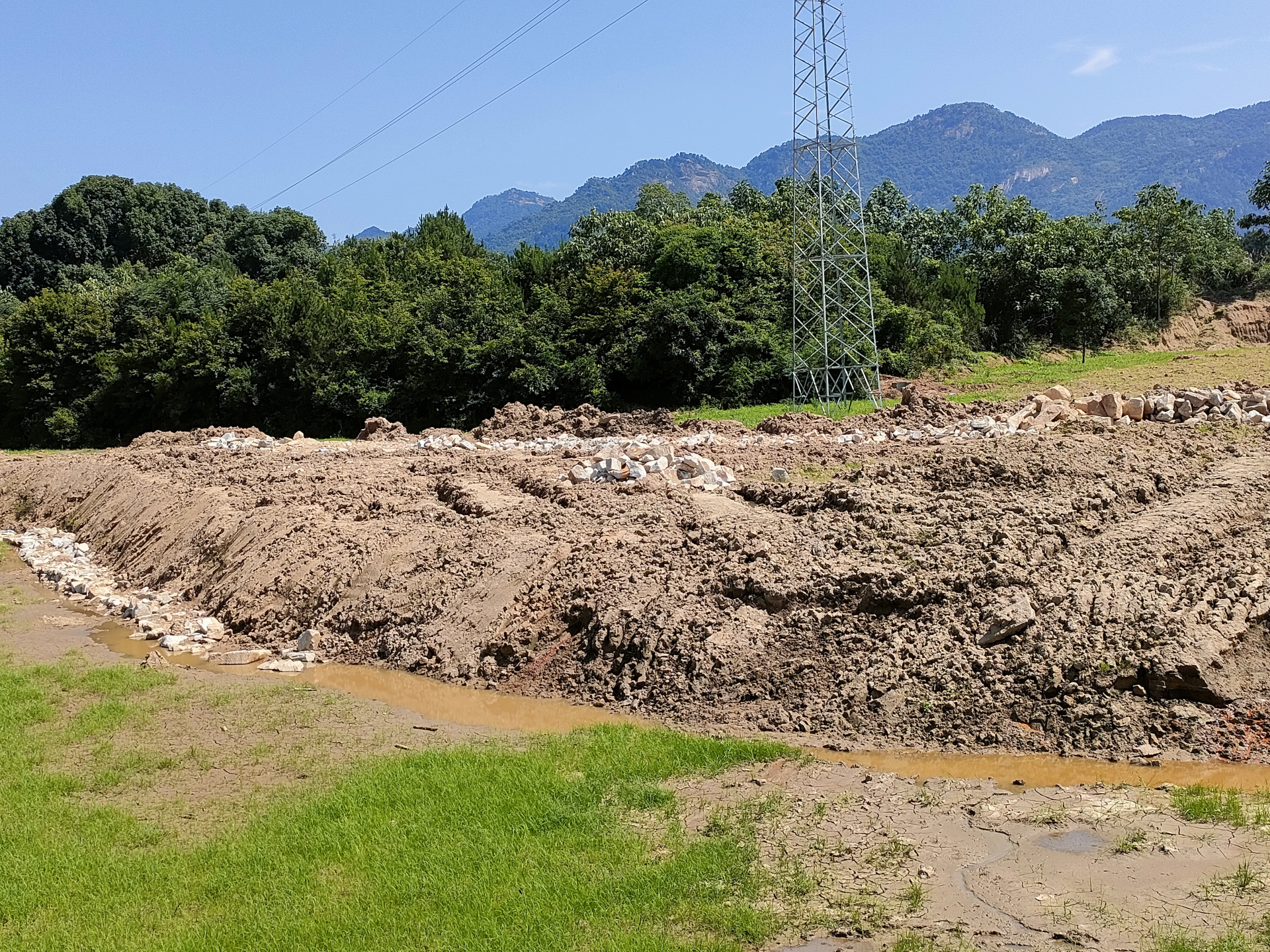 強縣有妙招從一棵千年古樟到一片鄉村樂園