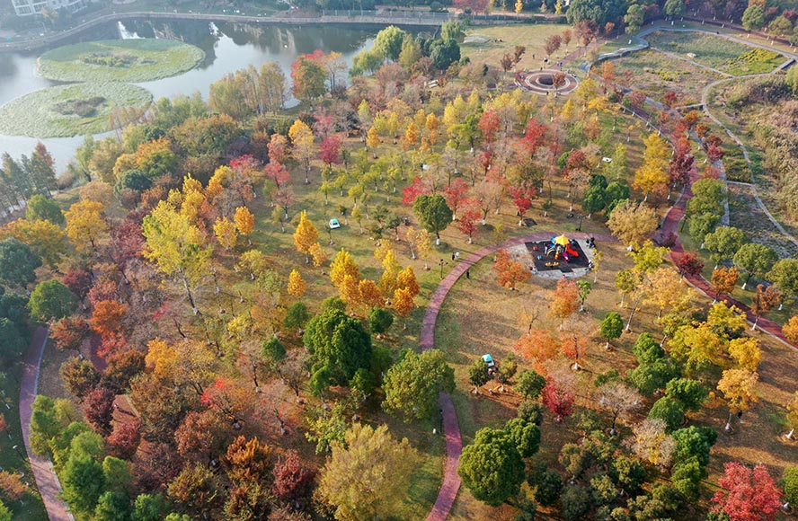老友拍武汉武汉北太子湖公园美轮美奂的童话世界