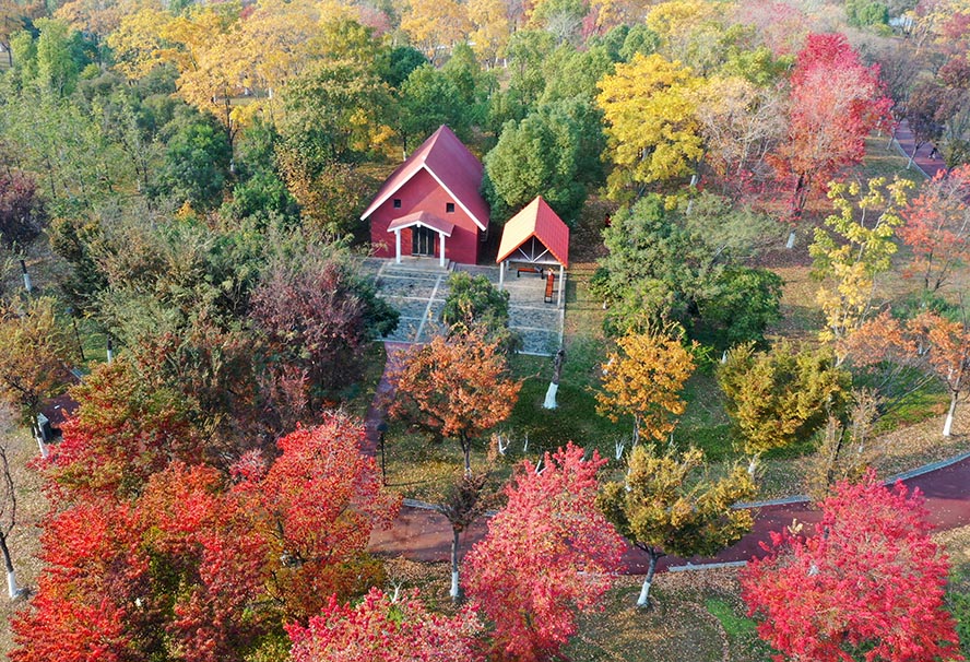 老友拍武汉武汉北太子湖公园美轮美奂的童话世界