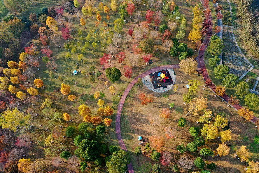 老友拍武汉武汉北太子湖公园美轮美奂的童话世界