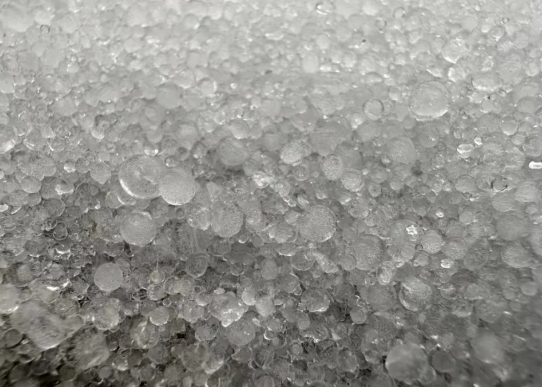 雲連線對話醫學交管局專家應對雪霰雹請注意