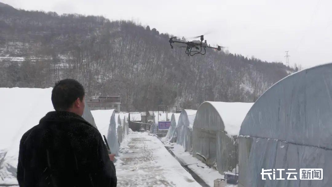 除雪神器来了,无人机助力湖北蔬菜大棚,工厂融雪除冰