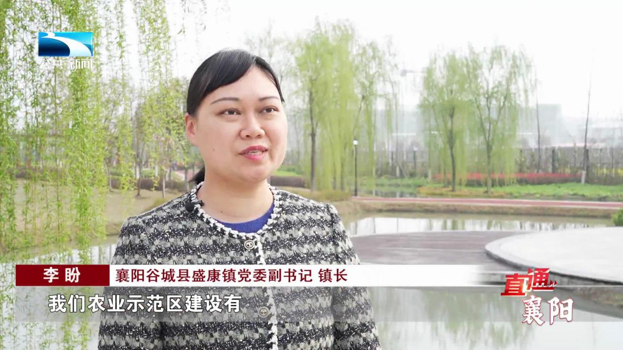 谷城:推进小流域综合治理 绘就水净村美新画卷