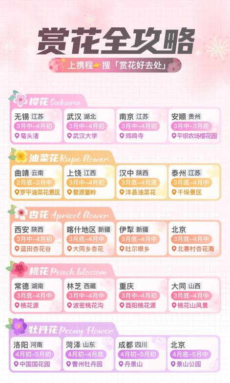 国内赏花门票预订增长五成武汉为全国赏樱花热门目的地