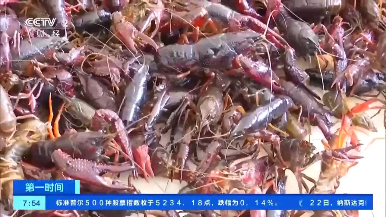 多地小龙虾抢鲜上市价格便宜了