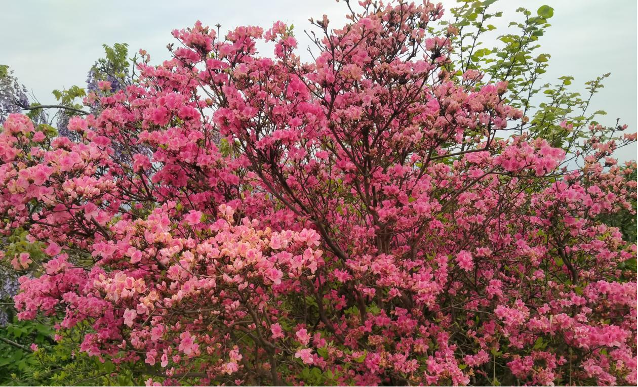 麻城市审计局开展"追寻革命精神 传承红色基因"主题党日活动