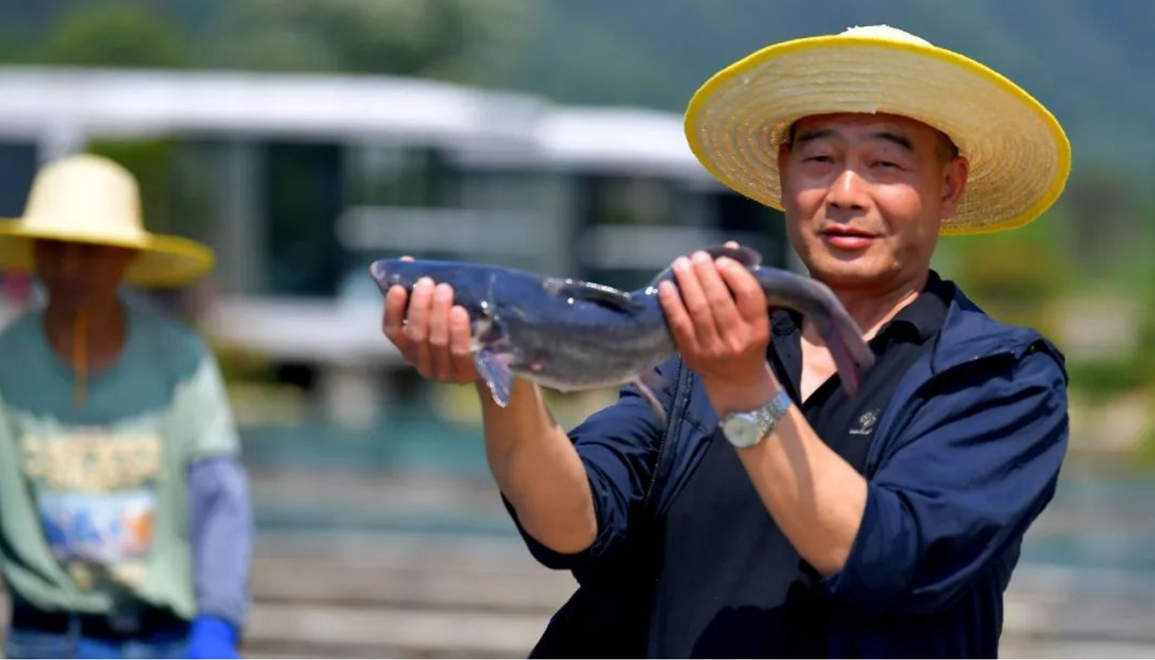 武汉黄陂:一条鱼游出特色产业链_长江云 - 湖北网络广播电视台官方