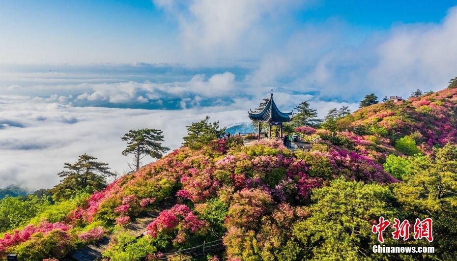 湖北龟峰山风景区图片