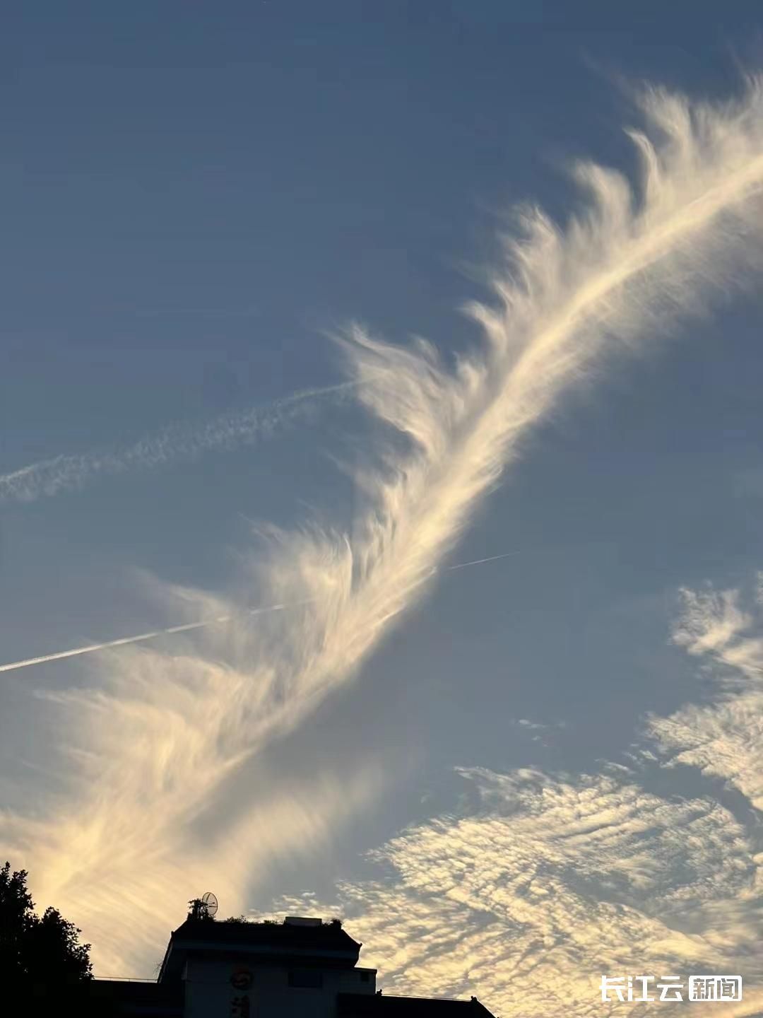今日傍晚,武汉天空出现巨幅"羽毛云"