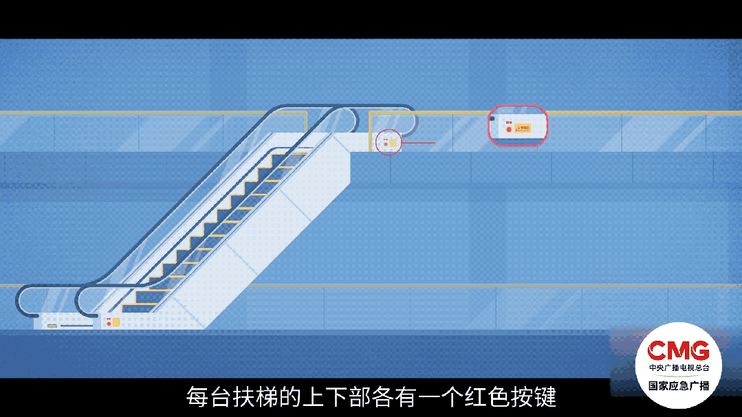 如何避免被它"咬"住?_长江云 - 湖北网络广播电视台官方网站