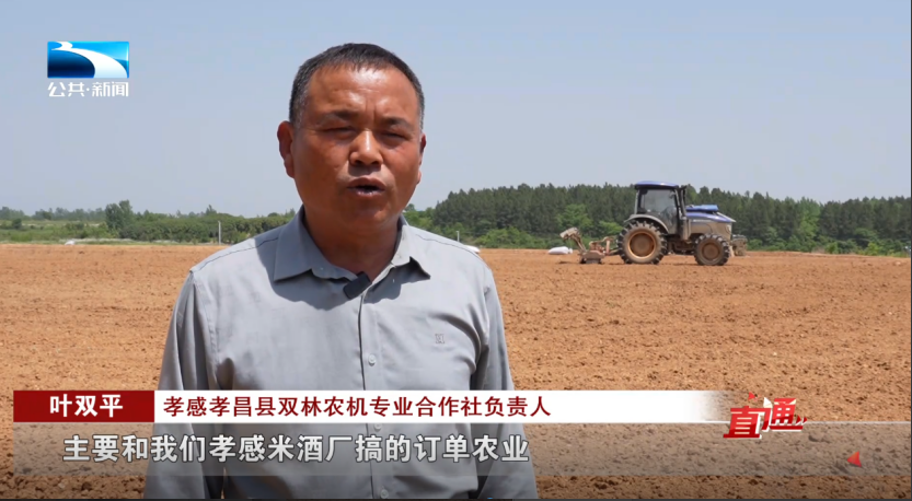 直通孝感 | 孝感:风吹麦浪香 6万亩小麦陆续开收_长江云 - 湖北网络