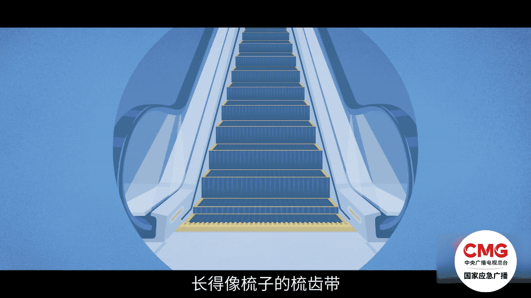 如何避免被它"咬"住?_长江云 - 湖北网络广播电视台官方网站